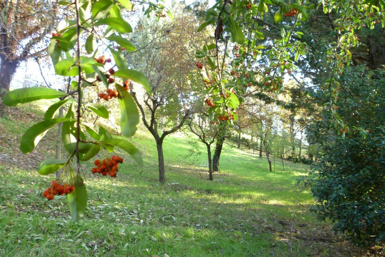 B&B Colle Di Terria Country House Contigliano Экстерьер фото